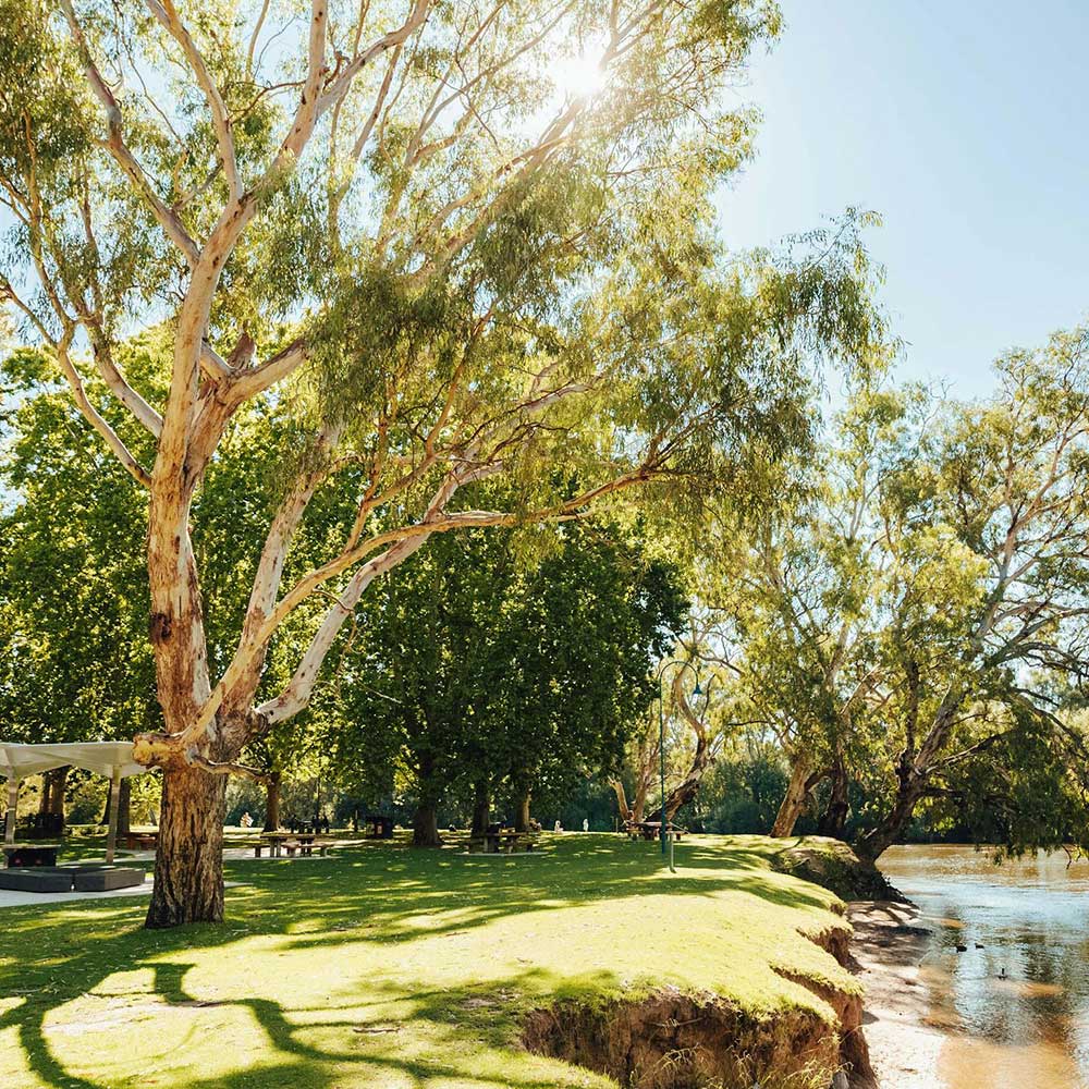 Albury Park